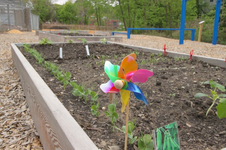 A pinwheel in one of the garden beds used by employees of Tufts Health Plan.