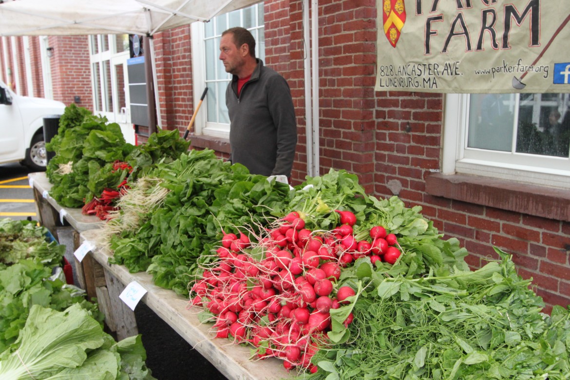 Some of the veggies available at the opening day of the Watertown Farmers Market at the Arsenal on th Charles.