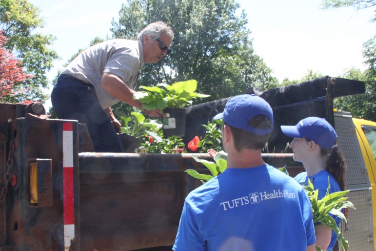 Bob DiRico of the Watertown Department of Public Works hands out plants to volunteers at the Commander's Mansion.