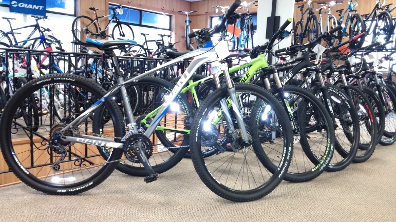 Some of the wide range of bikes available at Farina's in Watertown.