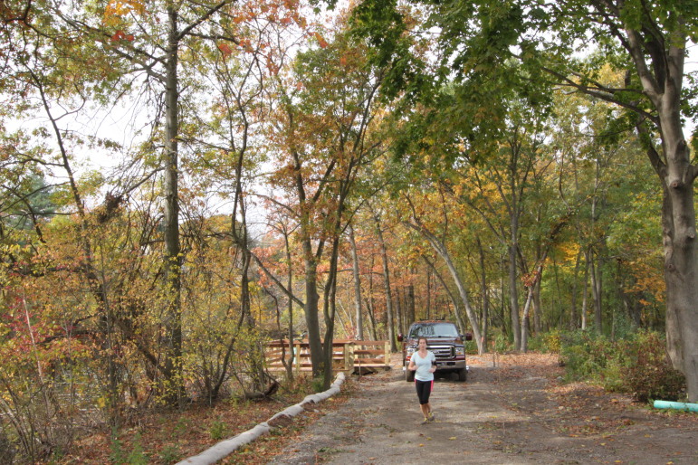 Runners have already discovered the improved path along the Charles River. 