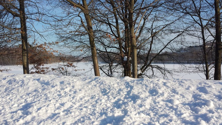 A snowscape along Charles River Road.