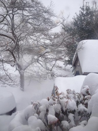 Snow covers the roof, trees and more at this house on Edward Road.