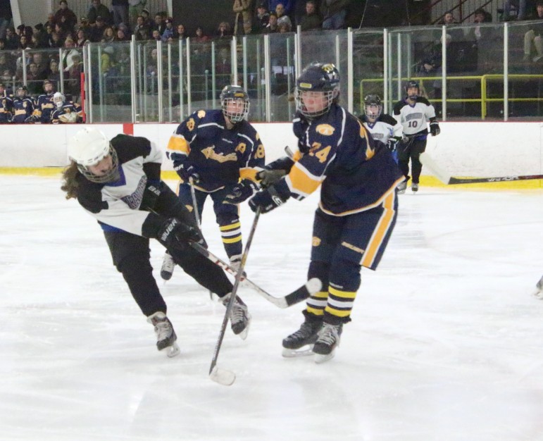 The Watertown/Belmont girls hockey team will play in the Div. 1 State quarterfinal Wednesday.