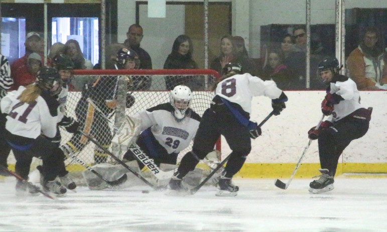 Freshman goalie Jonna Kennedy held Andover to 1 goal in the MIAA Div. 1 first round game at Ryan Arena on Saturday.