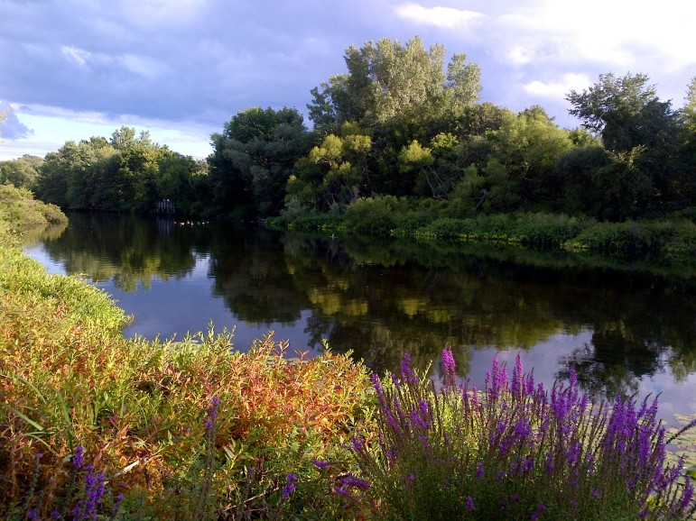 Chuck Dickinson's "Charles River, Watertown" came in third in the Watertown Savings photo contest.