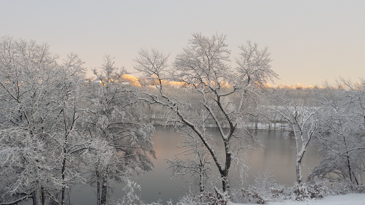 Snow covers the trees along the Charles River.