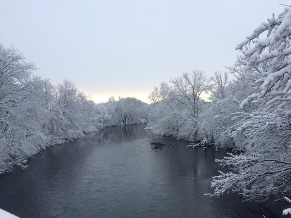Snow covered trees make a winter wonderland along the Charles River in Watertown Square.
