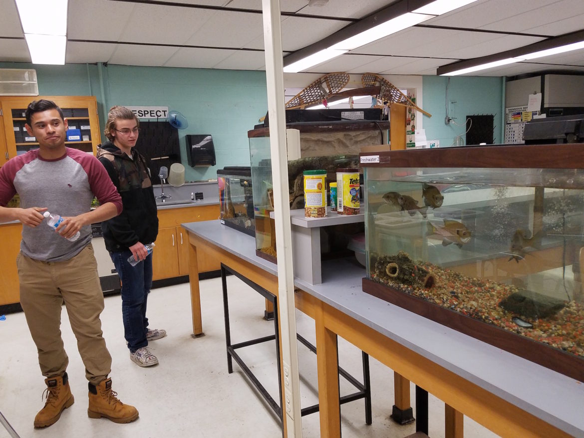Senior Bryan Recinos Guerra, left, shows off the environmental science shop at Minuteman High School, as junior Elias Scott looks on. both are from Watertown.