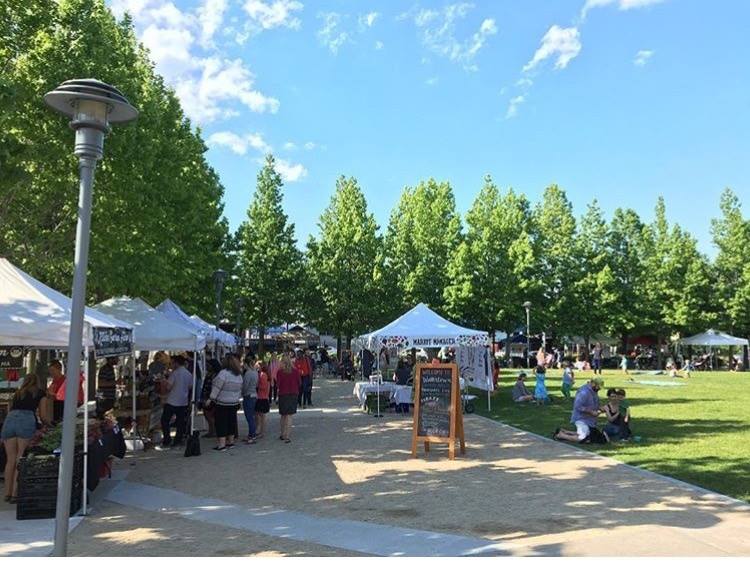 The Watertown Farmers Market moved to the green in front of La Casa de Pedro and Arsenal Center for the Arts inside the Arsenal on the Charles complex.
