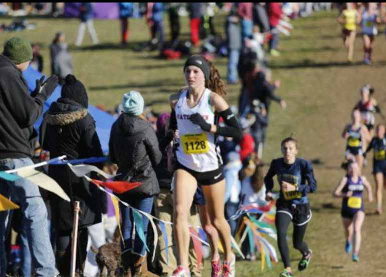 Watertown junior Emily Koufos won the girls Div. 5 Eastern Mass Cross Country race on Saturday.