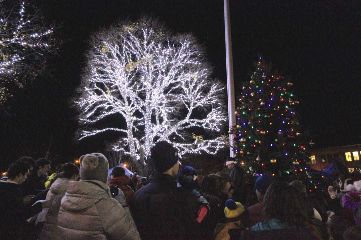 The trees in Watertown Square shine with new lights put on by the Department of Public Works.