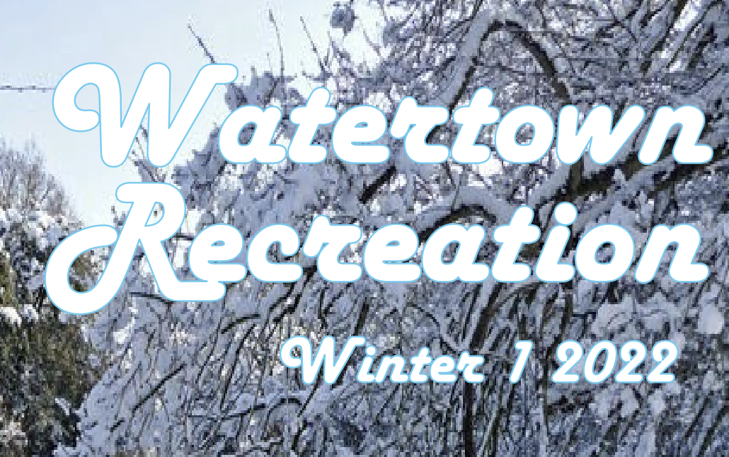Watertown Rec Offers Pickleball, Community Sports & Games, Open Forum